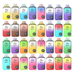 Higo BB 4000 Vape Kit